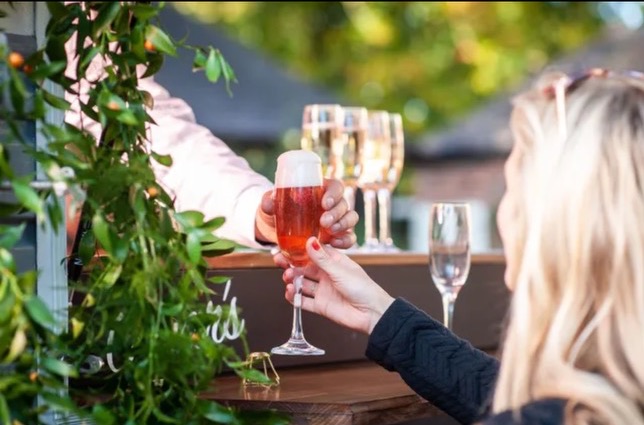 Guests toasting with rose and white wine at outdoor event with greenery in background